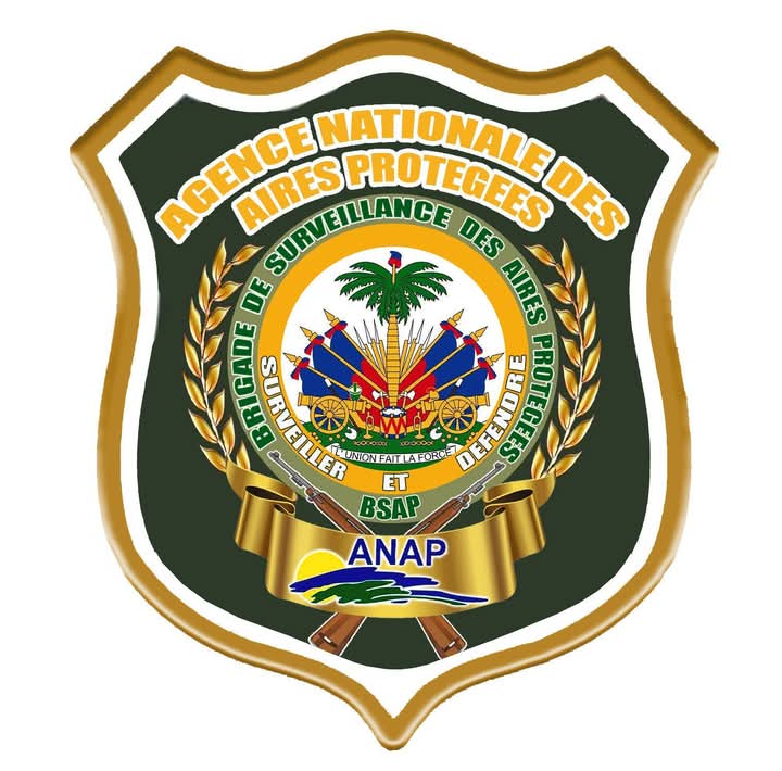 ANAP BSAP shield