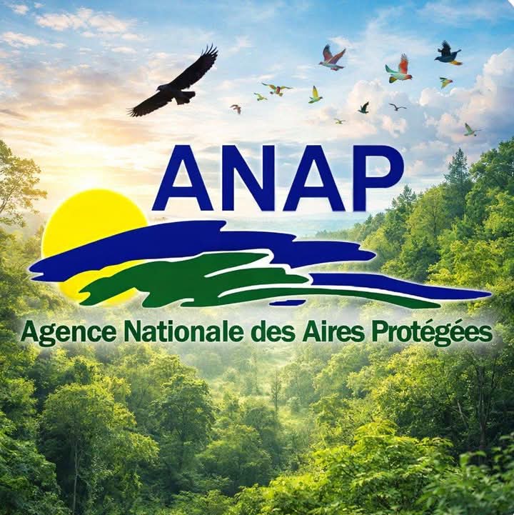 ANAP logo